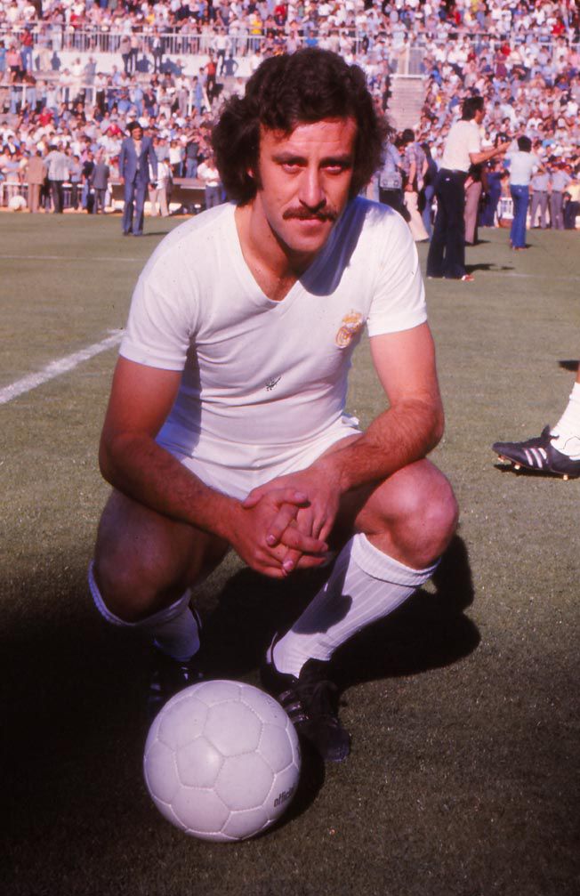 Soccer player Vicente Dell Bosque