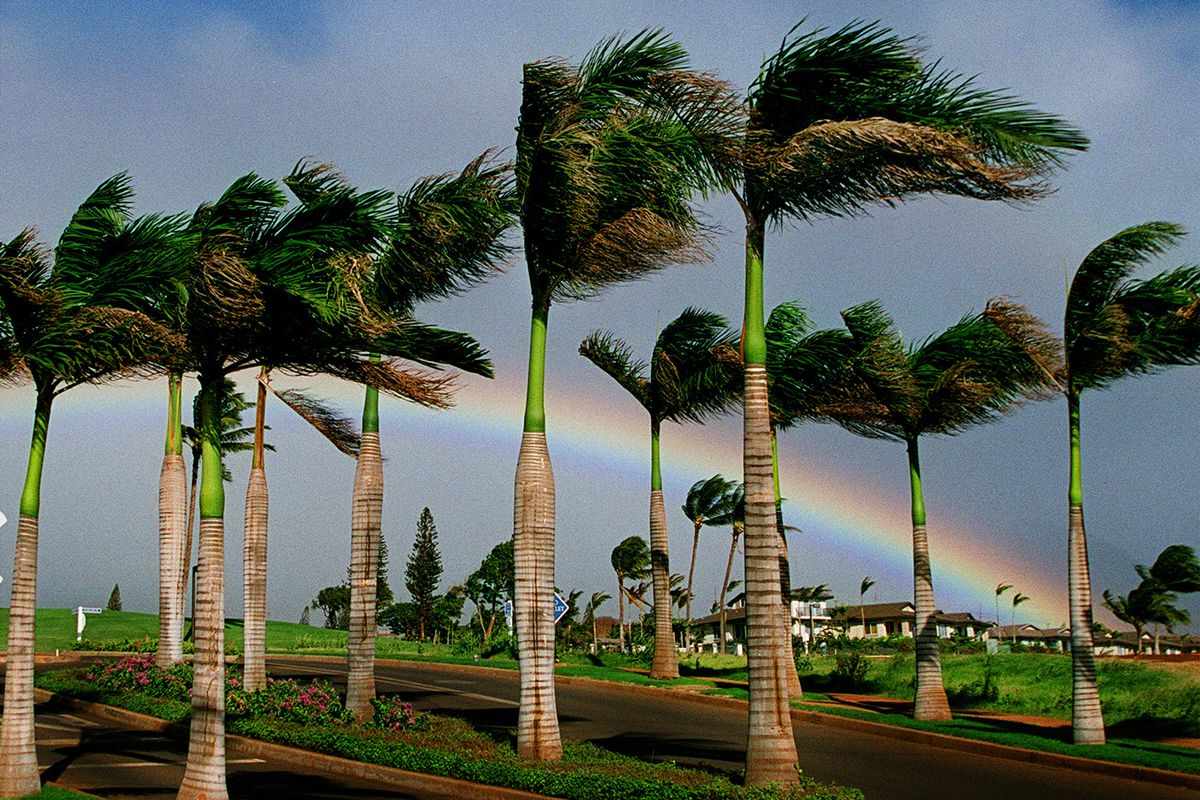 Rainbows are abundant on the West side of Maui. (8/18/2001)