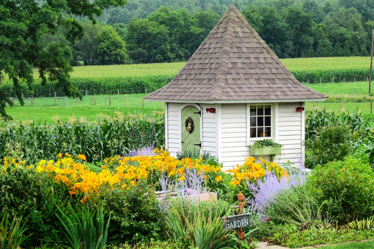 Pointed Roof Garden Shed