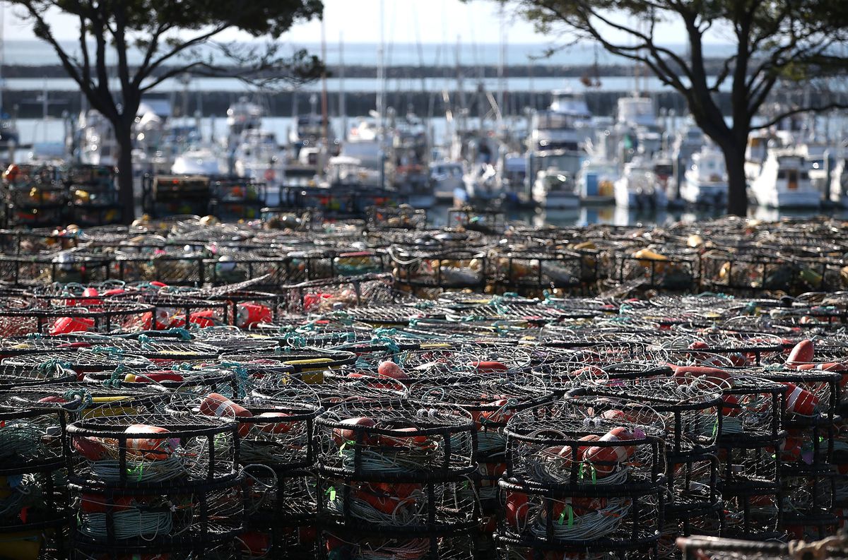 Crab pots sit at Pillar Point Harbor, CA. Photo: Justin Sullivan/Getty Images