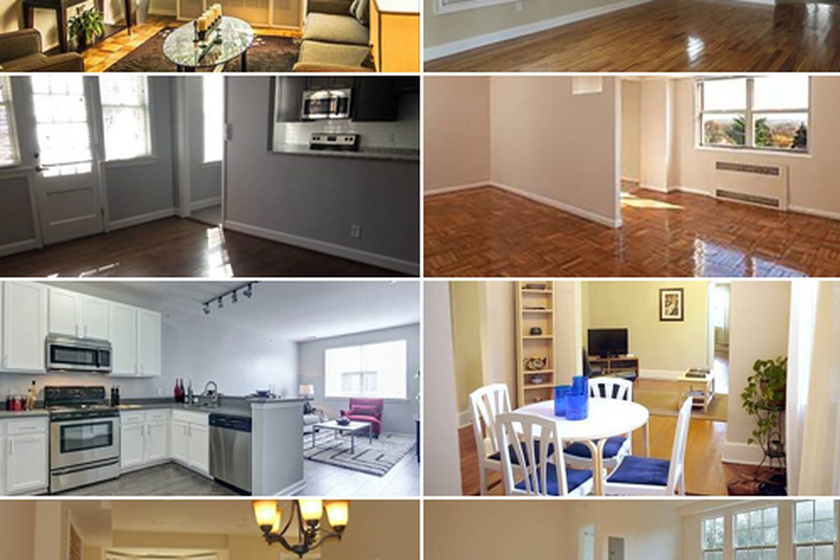 8 D C Apartments That Are Cheaper Than You Would Expect Curbed Dc,Potato Bread Walmart