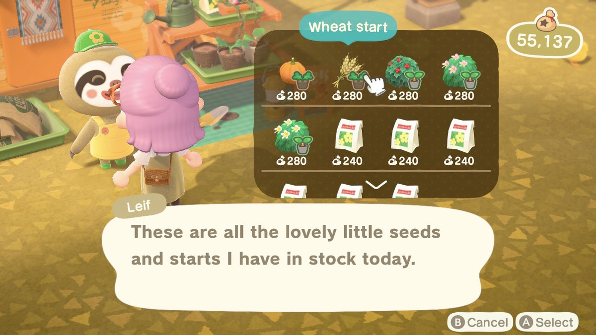 Buying wheat start from Leif in Animal Crossing: New Horizons