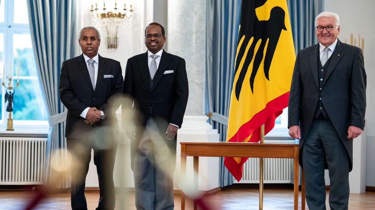 Federal President Steinmeier accredits new ambassadors