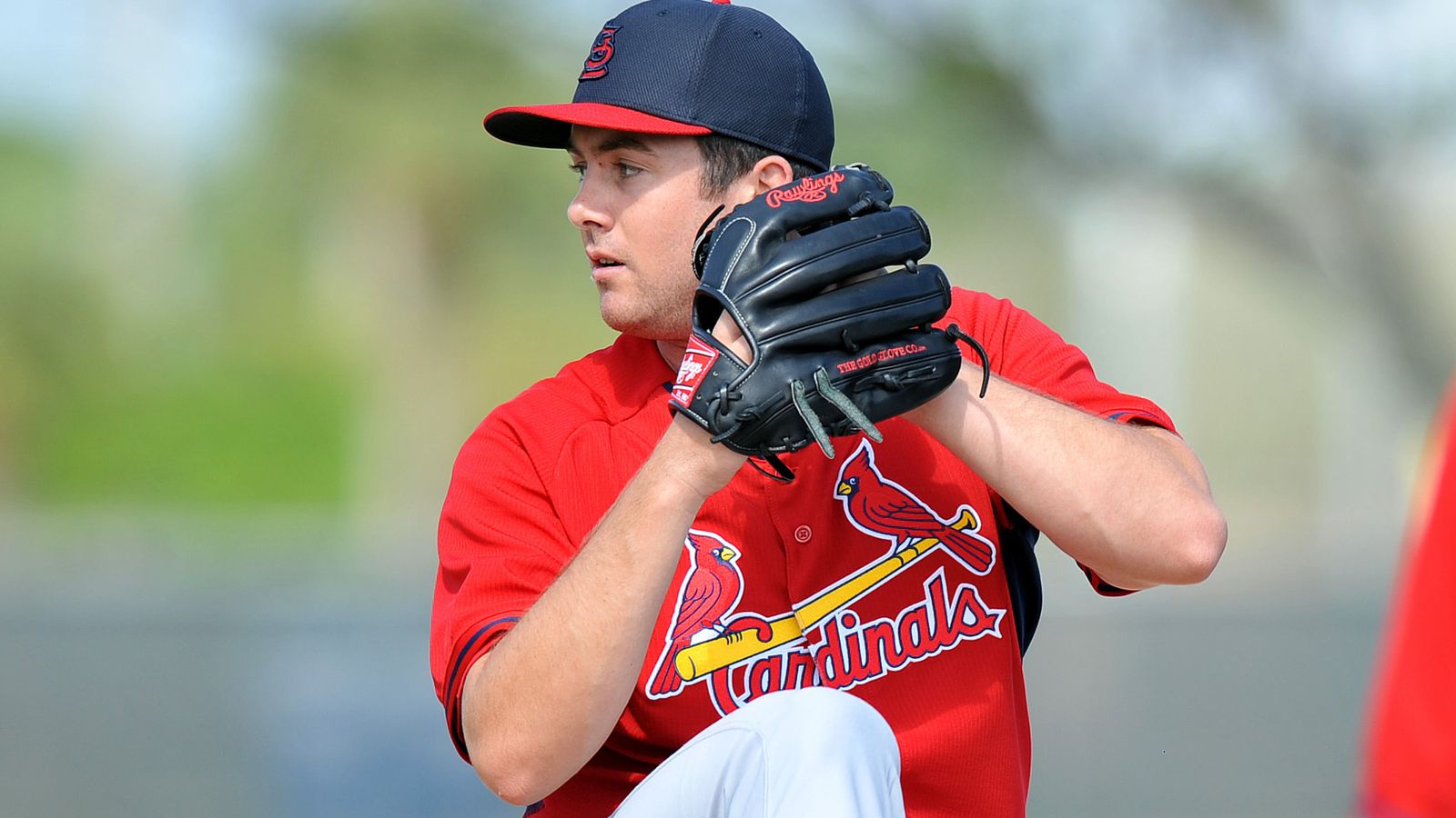 Writers Roundtable: Dissecting Our 2014 St. Louis Cardinals Top Prospect Lists - Viva El Birdos