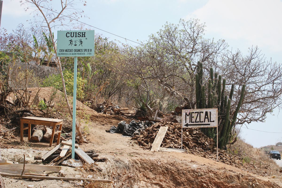 A road sign points to “mezcal”. 
