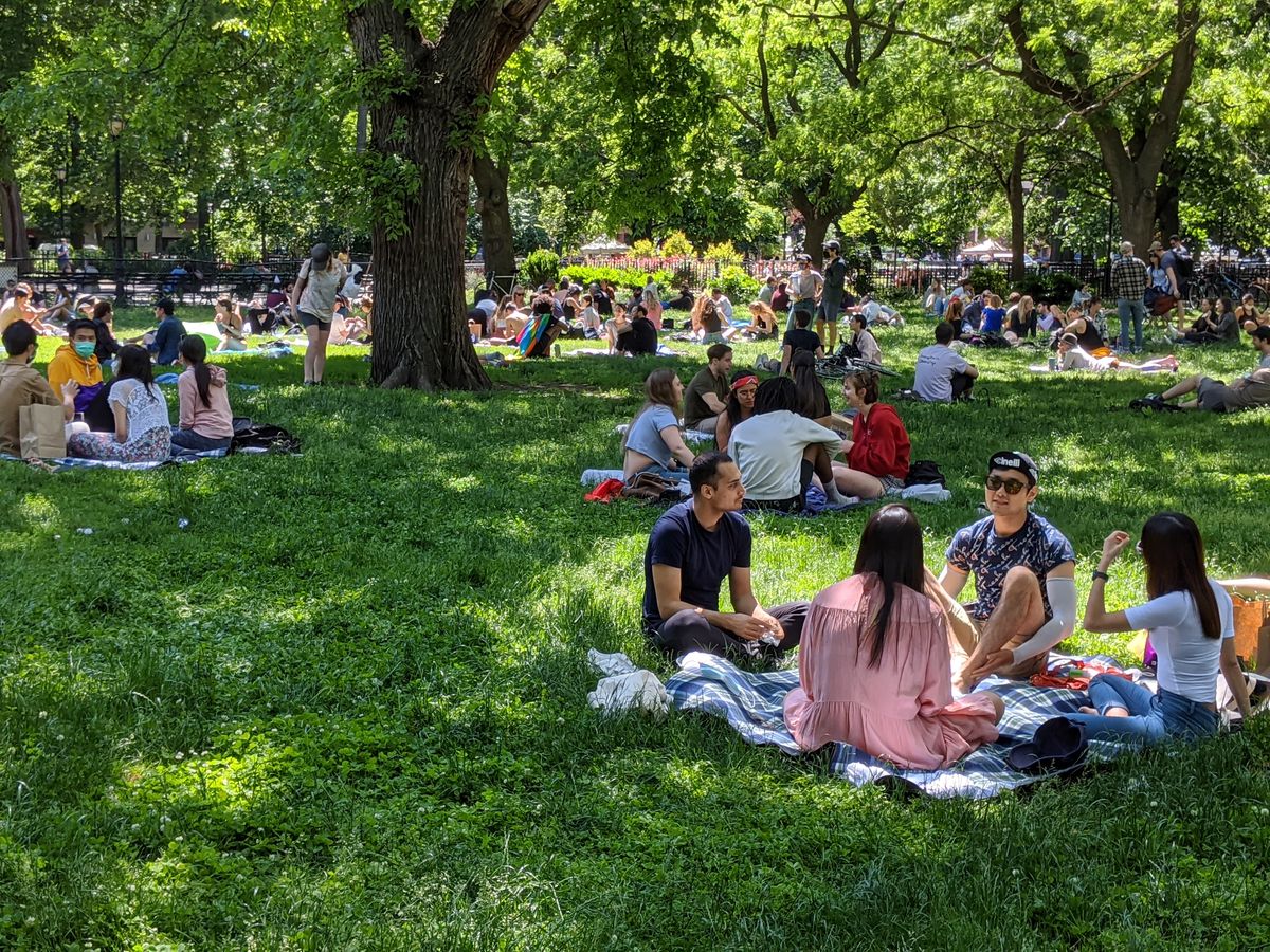 Several groups seen picnicking on a grassy lawn under trees dappled with sunlight.