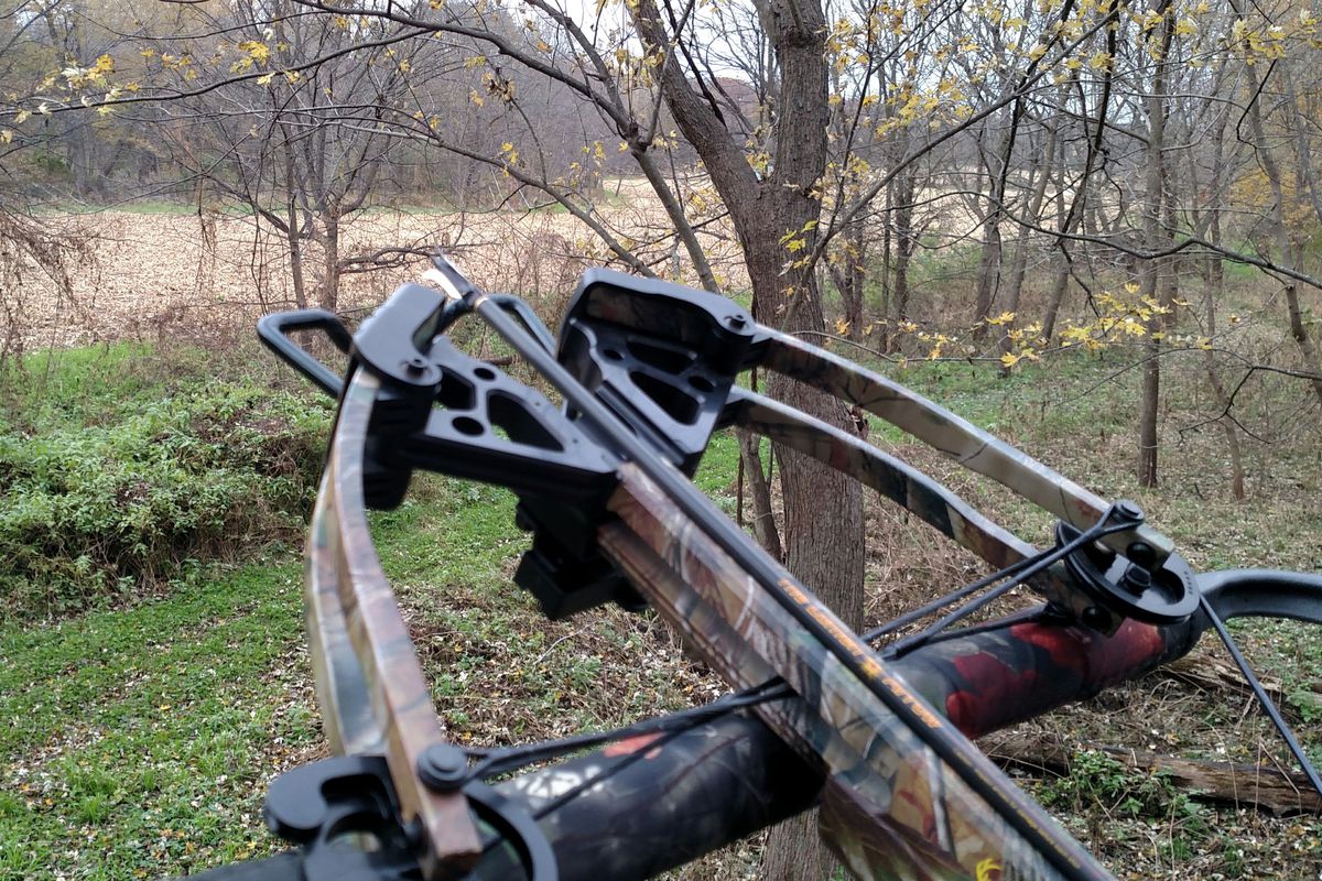 File photo of a crossbow at the ready in a stand in central Illinois; perhaps one factor in the climbing archery harvest in Illinois. Credit: Dale Bowman