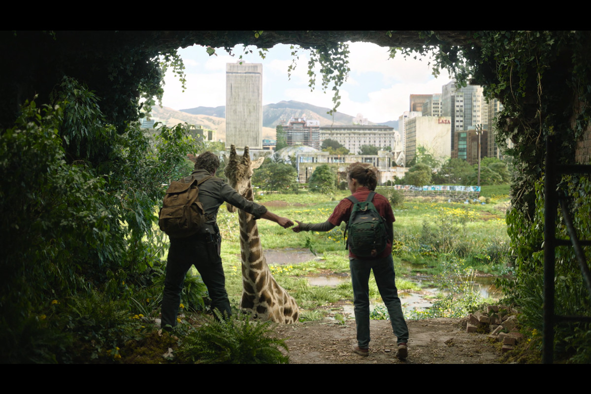 Joel (Pedro Pascal) handing Ellie (Bella Ramsey) some leaves to feed a giraffe, on a balcony overlooking Seattle.