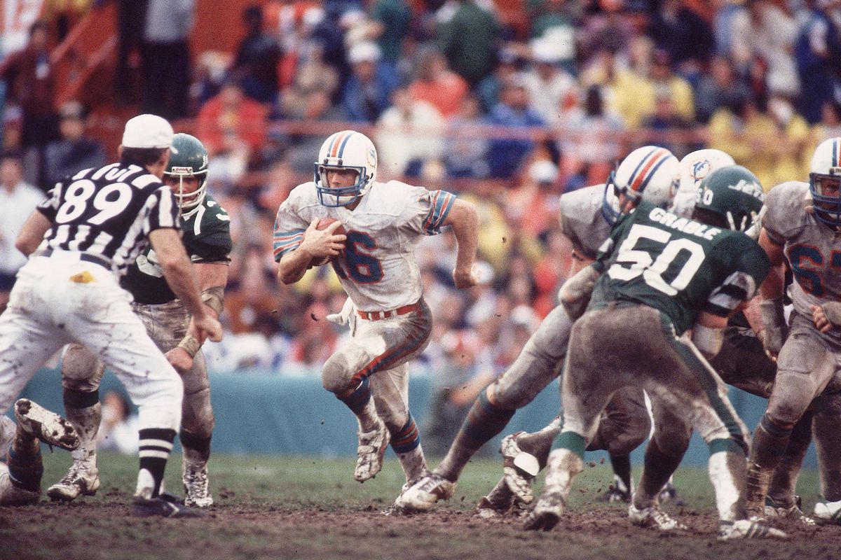 Miami Dolphins vs New York Jets, 1983 AFC Championship