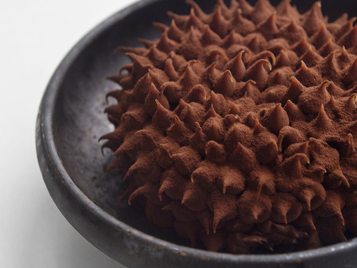 A flower shaped dessert covered in cocoa powder.