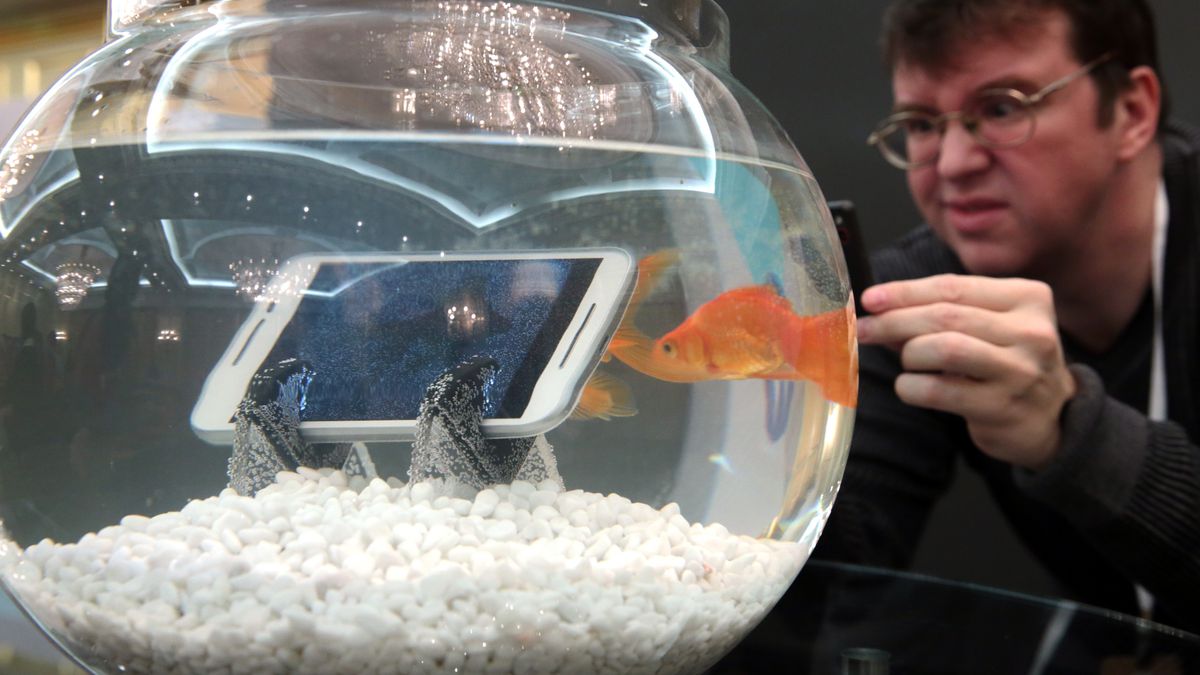 Go ahead — throw your smartphone in a fishbowl.