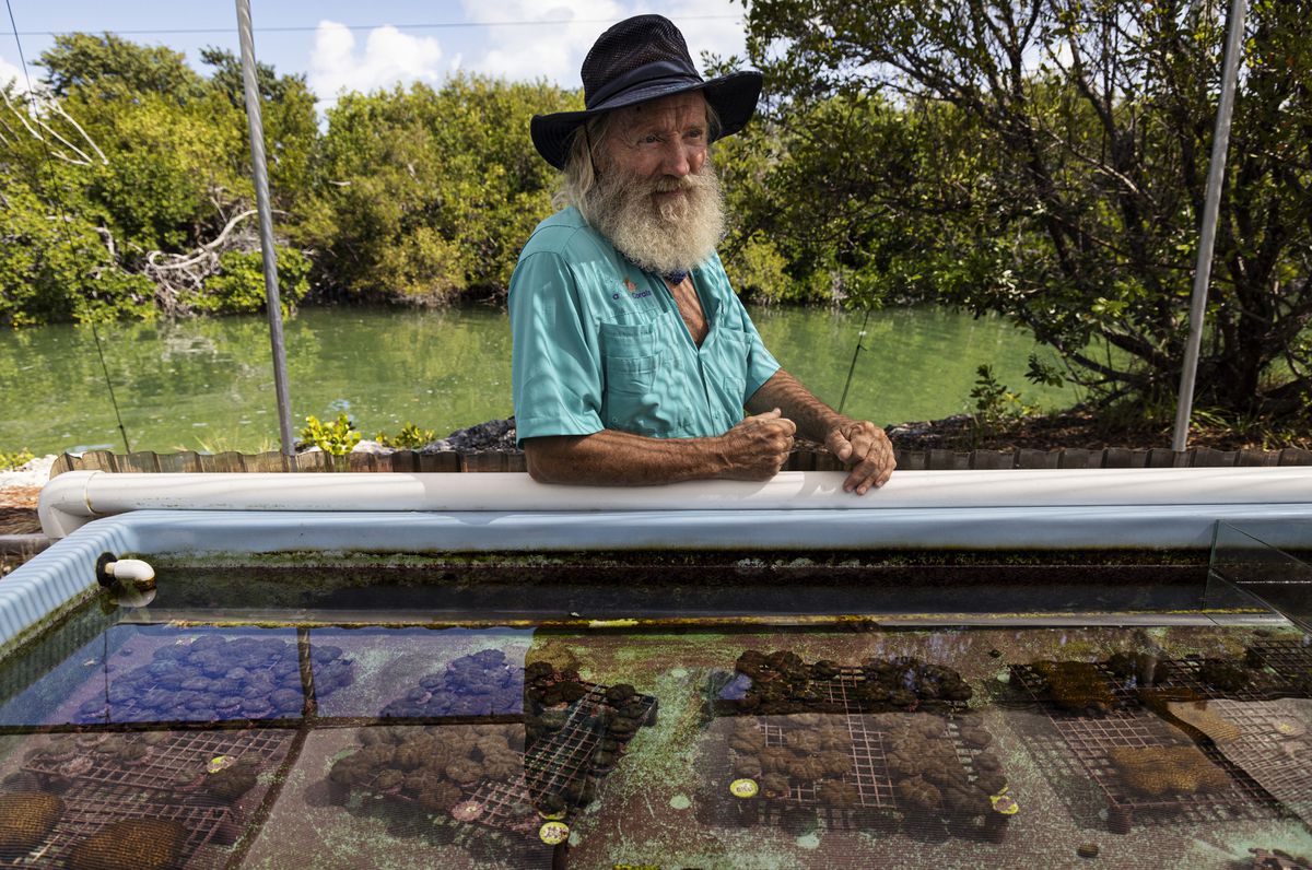 A man with a beard and a shade hat stands beside his coral-growing tanks.