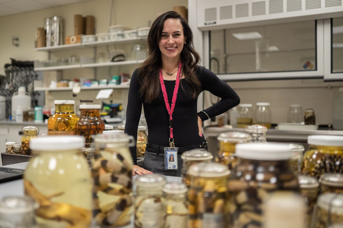 Sara Ruane, the Field Museum’s new assistant curator of herpetology, in a lab in the museum’s sub-basement.