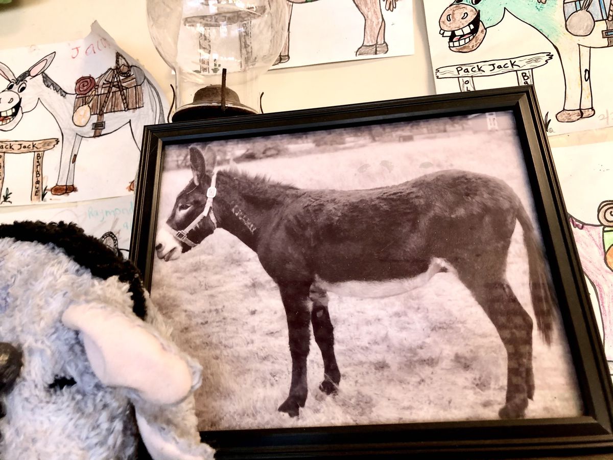 A framed photo of Pack Jack, the restaurant founder’s old pet mule