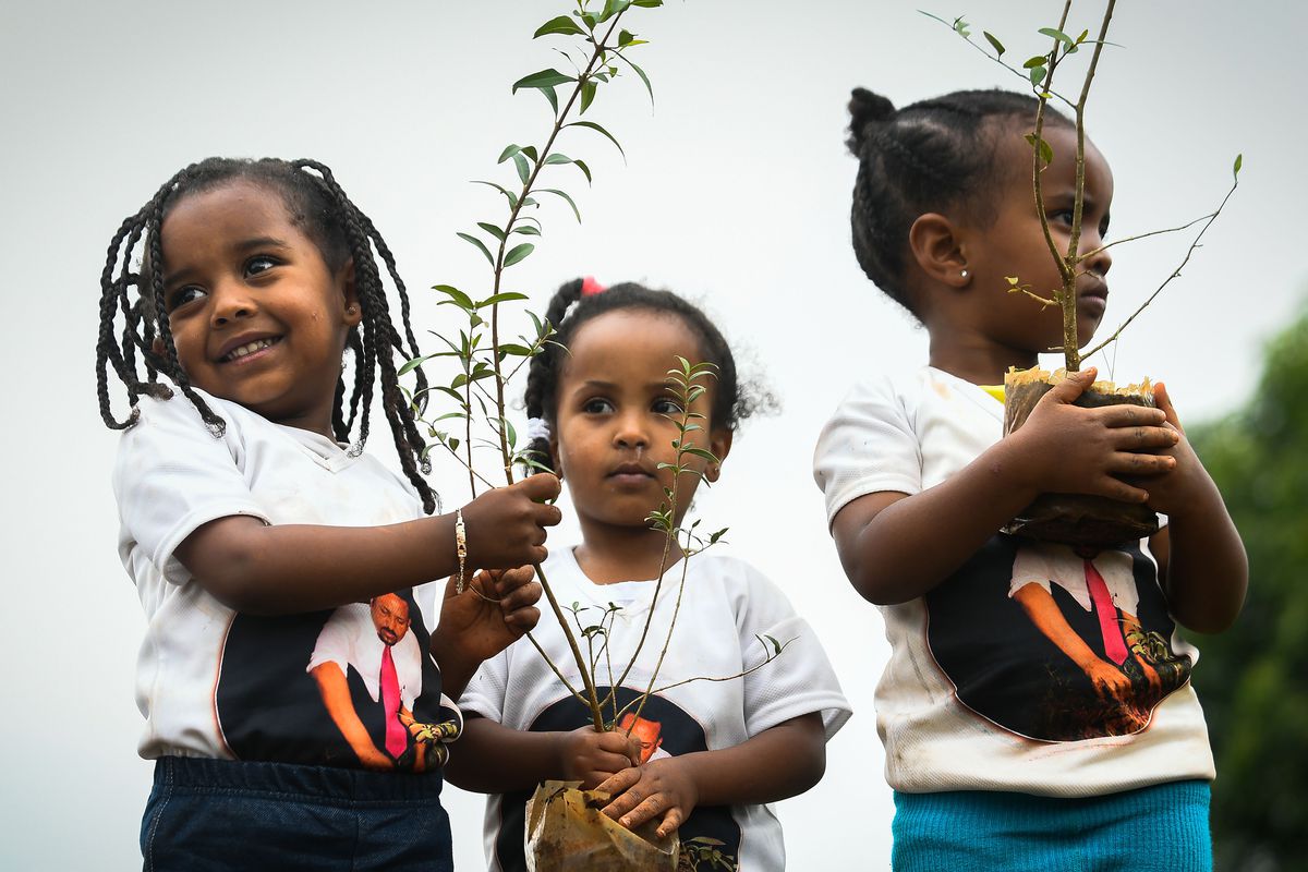 Young Ethiopian girls wearing shirts depicting Ethiopia’s Prime Minister Abiy Ahmed hold tree saplings as part in a national tree-planting drive in the capital Addis Ababa.