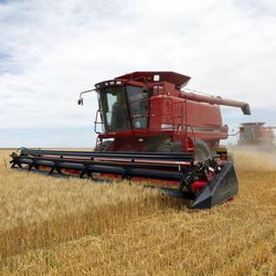In this July 9, 2009 file photo three combines harvest the winter wheat on the Cooksey farm near Roggen, Colo.
