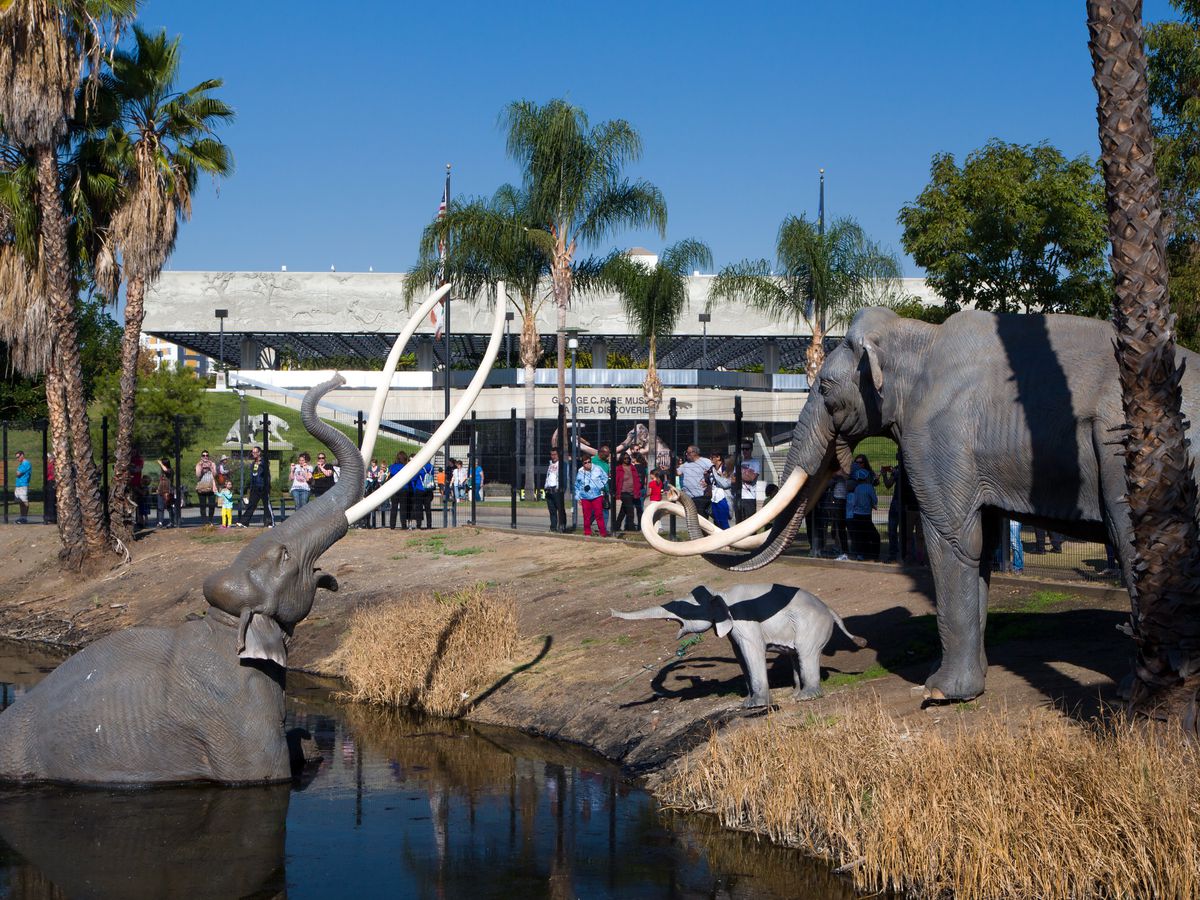 In the foreground is a body of water with sculptures of elephants at the edge. In the distance are palm trees and a large building.