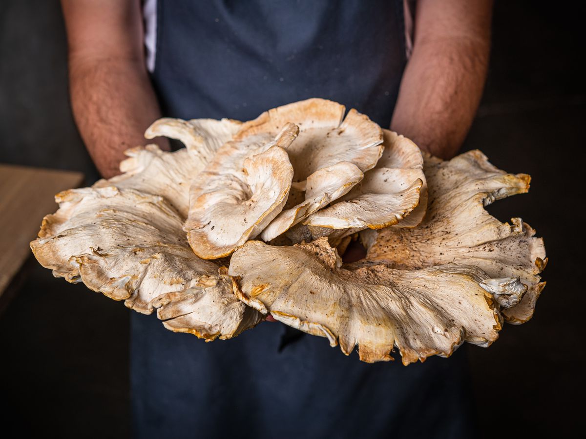 Oyster Oyster chef Rob Rubba shows off a fresh batch of mushrooms