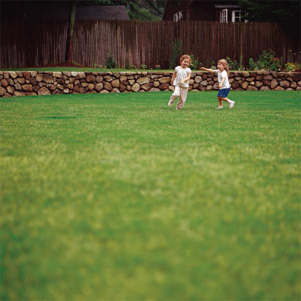 Kids Running Around Lawn