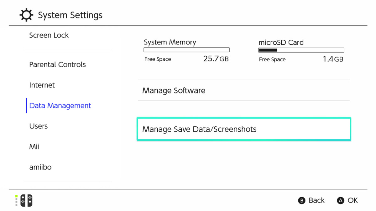 Nintendo Switch settings - Data Management