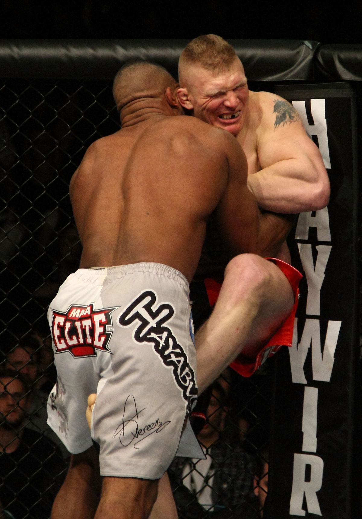 UFC 141: Lesnar contre Overeem