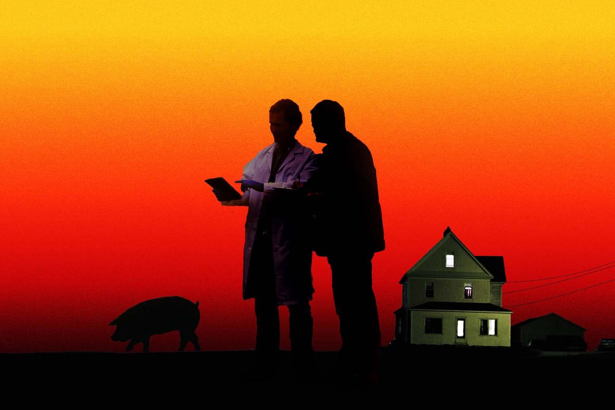 An image of two people in lab coats, their faces in shadow, looking at a clipboard. Behind them is a pig and a farm house, the sky a dramatic ombre of yellow and red. 
