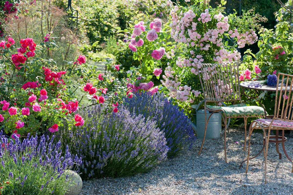 A fragrant garden with a table and two chairs. 