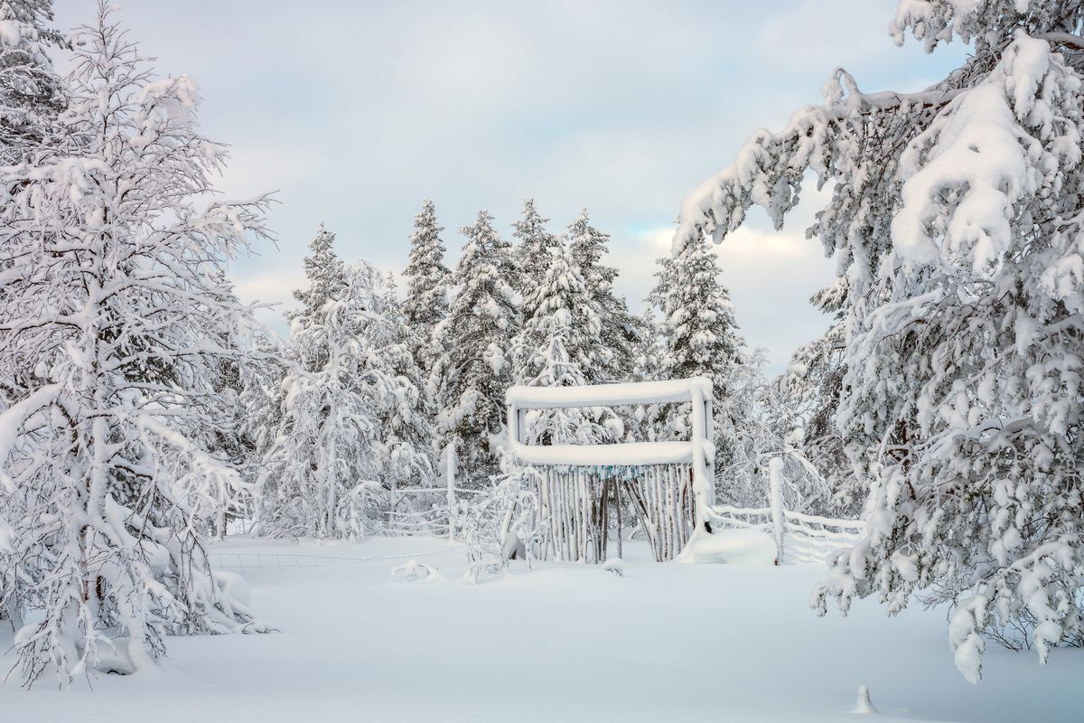 Reindeer Fence In Finnish Lapland