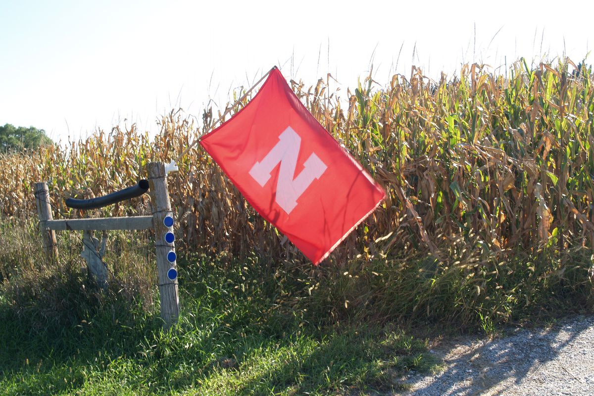 Flag in cornfield