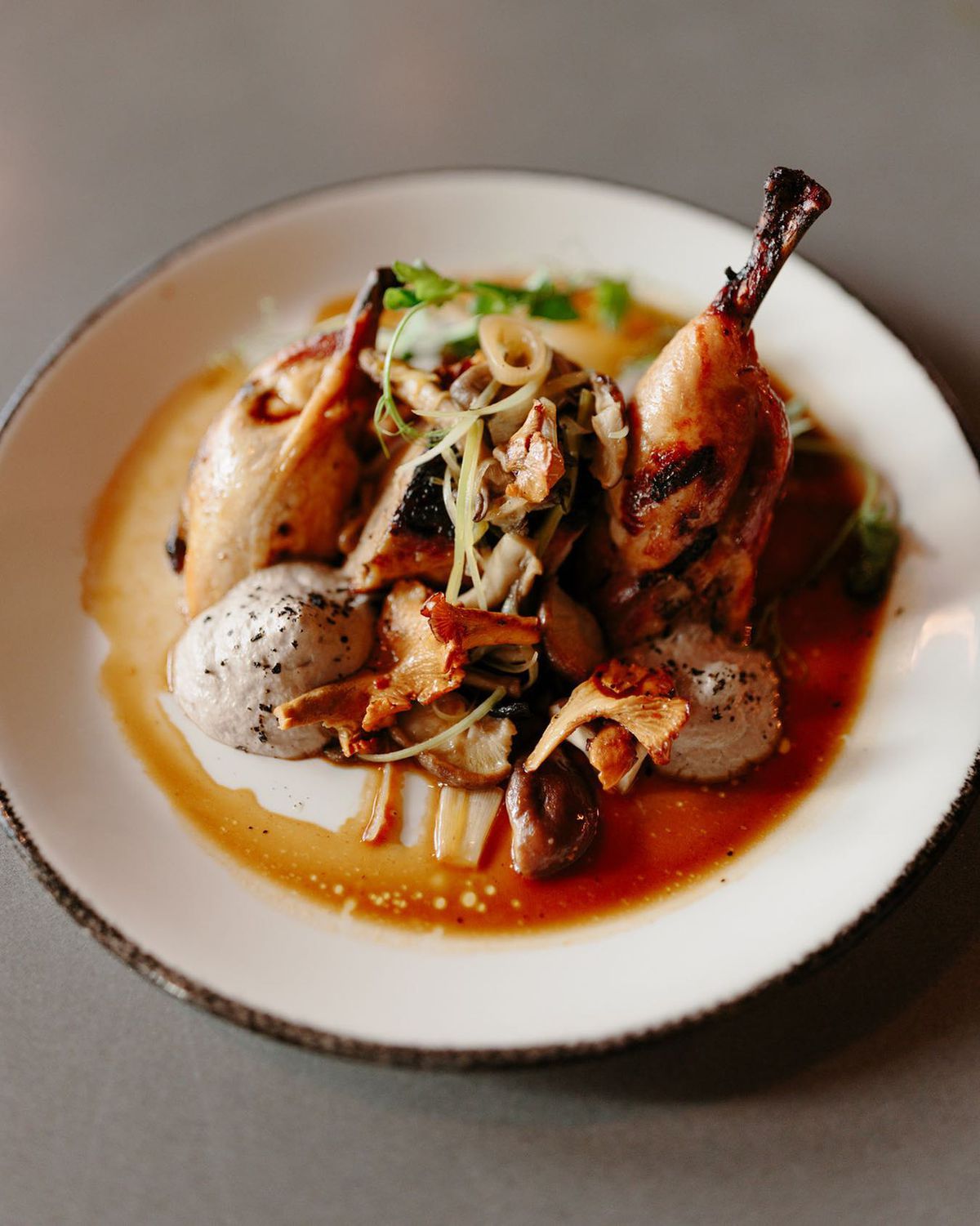 Roasted Green Circle Chicken, assorted with chanterelle mushrooms and mushroom puree from Aziza in Atlanta, GA.