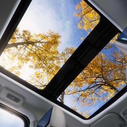 The all-new Ford Expedition’s available Panoramic Vista Roof® spans two rows, a feature not offered by any competitor.