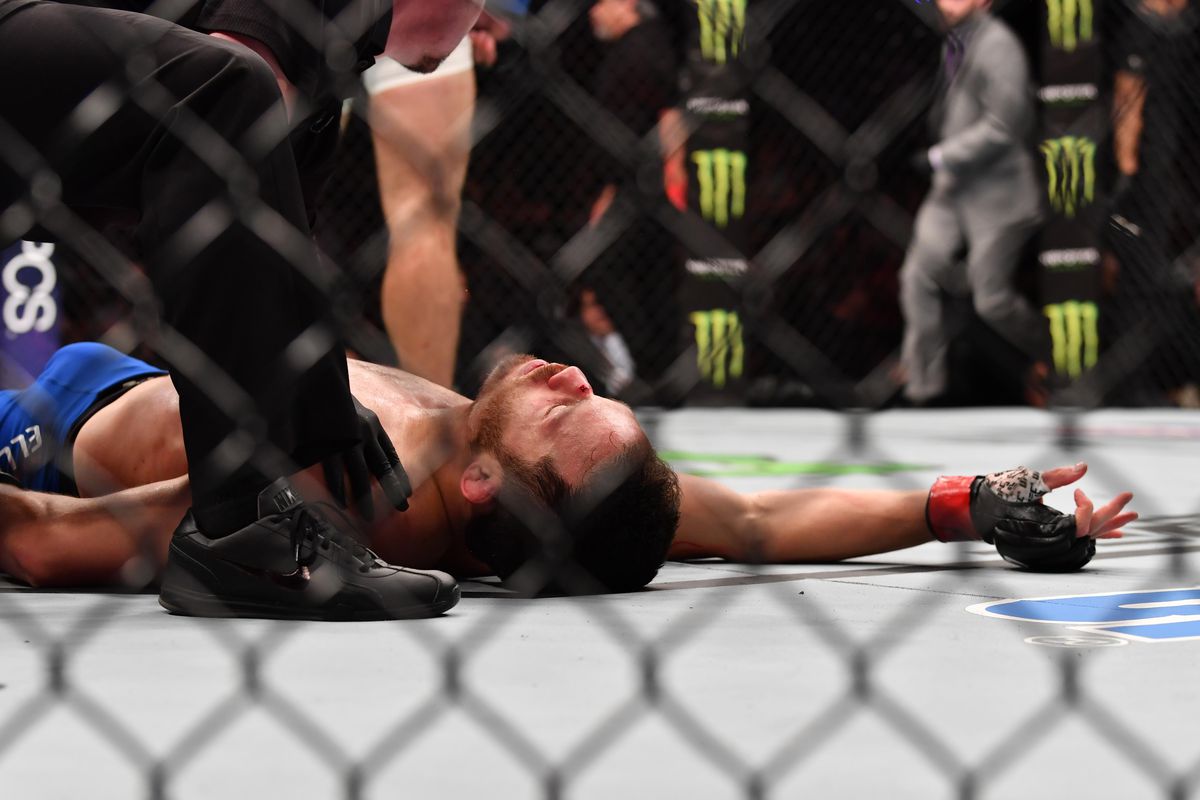 MMA: UFC Fight Night-Ellenberger vs Perry