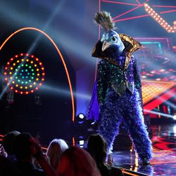 The Peacock performs in the "All Together Now" episode of "The Masked Singer."