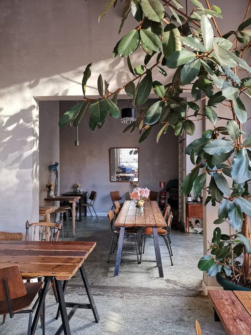 From behind a large indoor plant, the view of the dining room, with long rustic farm tables, and iron-legged chairs, white sun-lit walls, and minimal furniture in the corners