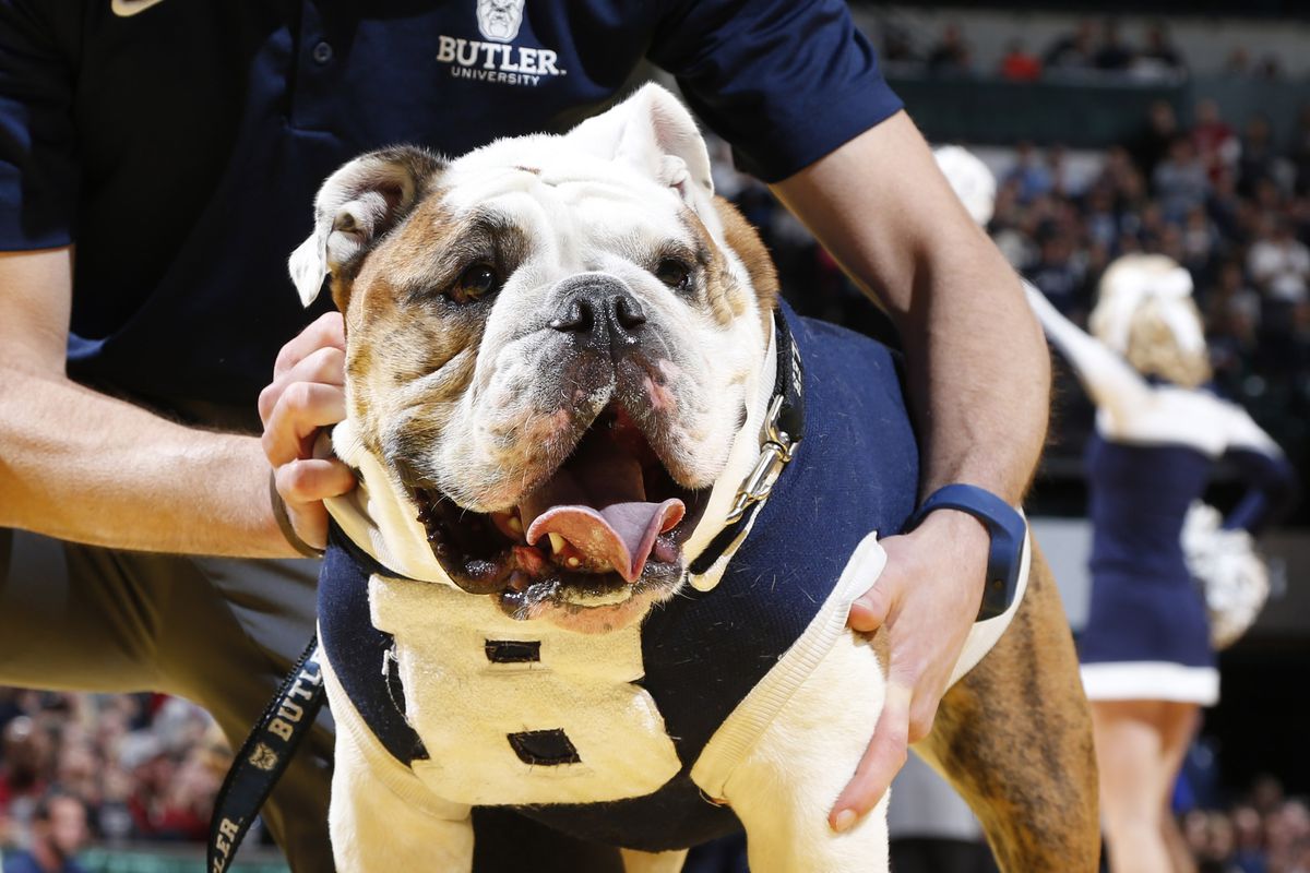 NCAA Basketball: Butler Bulldogs v Purdue Boilermakers
