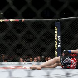 UFC 183 photos
