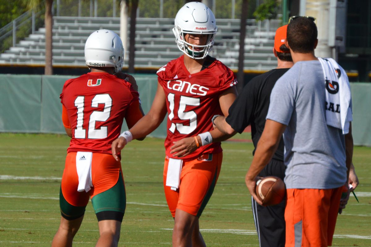Brad Kaaya is entrenched as starting QB, and Malik Rosier is his backup. What will the rest of the depth chart look like? We hazard a guess. 