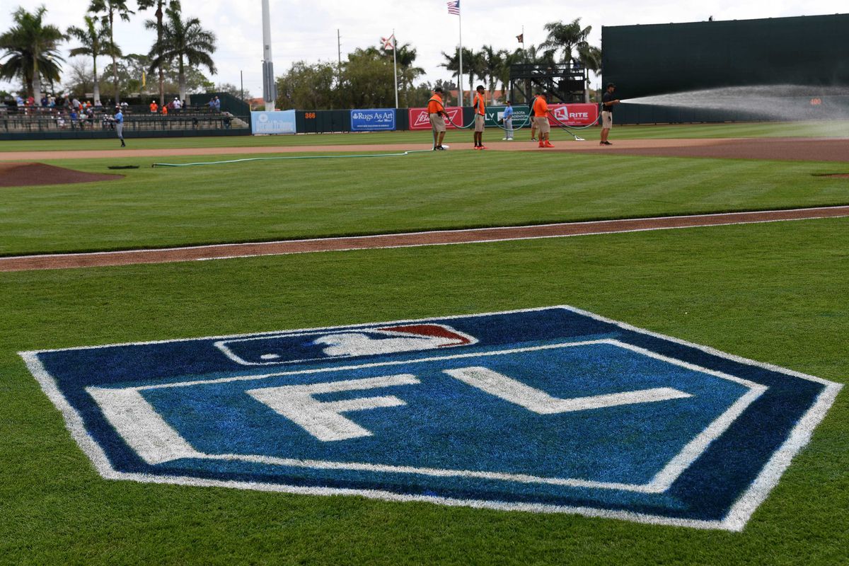 MLB: Spring Training-Tampa Bay Rays at Baltimore Orioles