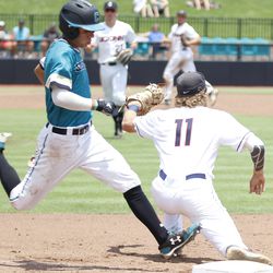 The Coastal Carolina Chanticleers take on the UConn Huskies in the fifth game of the Conway Regional during the 2018 NCAA Baseball Tournament at Springs Brook Stadium in Conway, SC on June 3, 2018.
