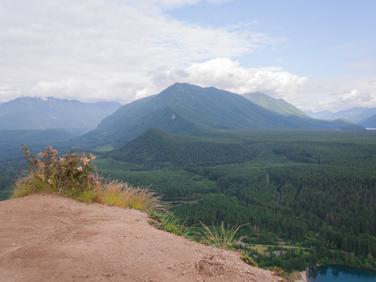 The view from a stone bluff, with dense green forest below and mountains in the background.