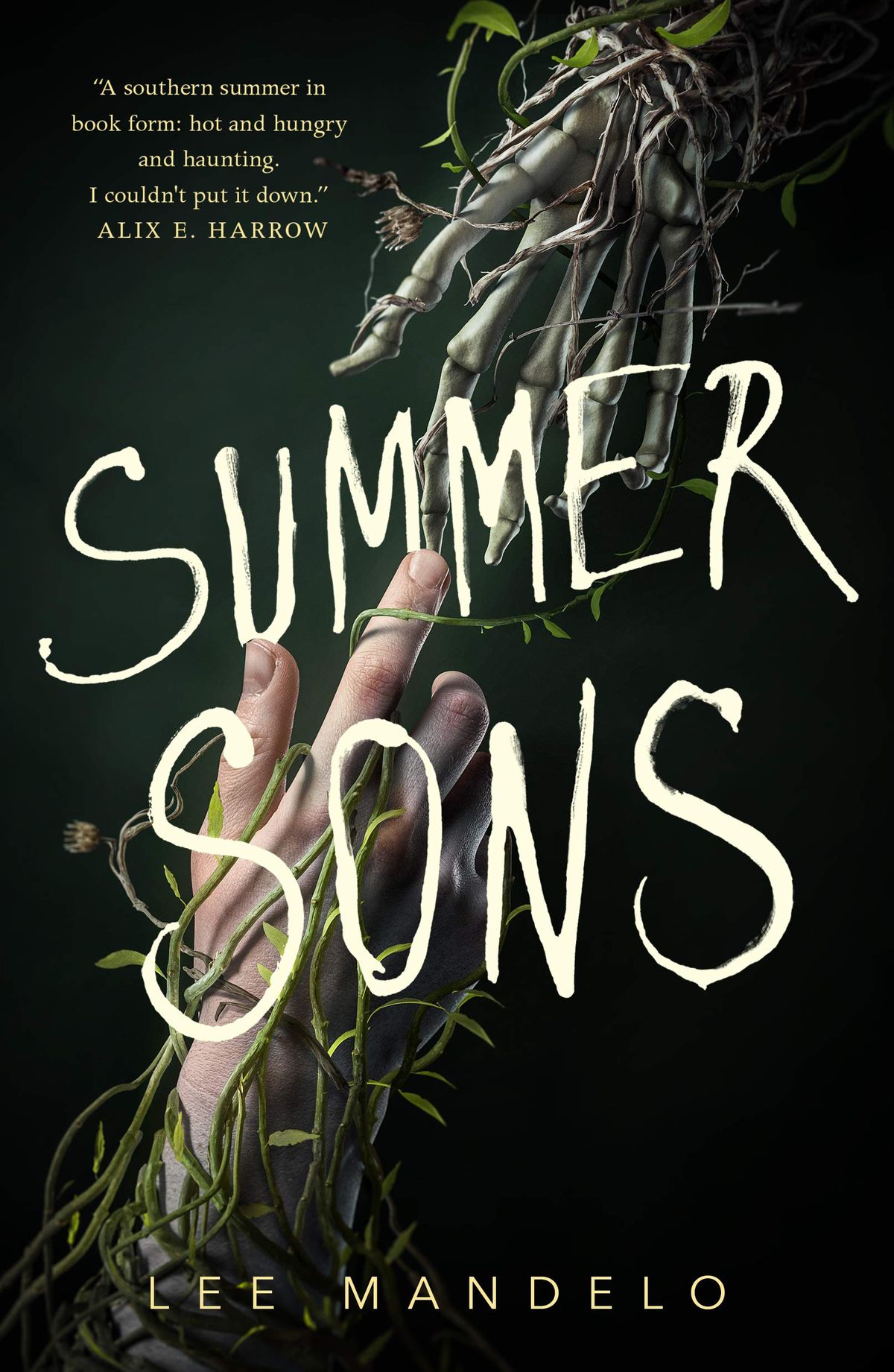 Summer Sons book cover