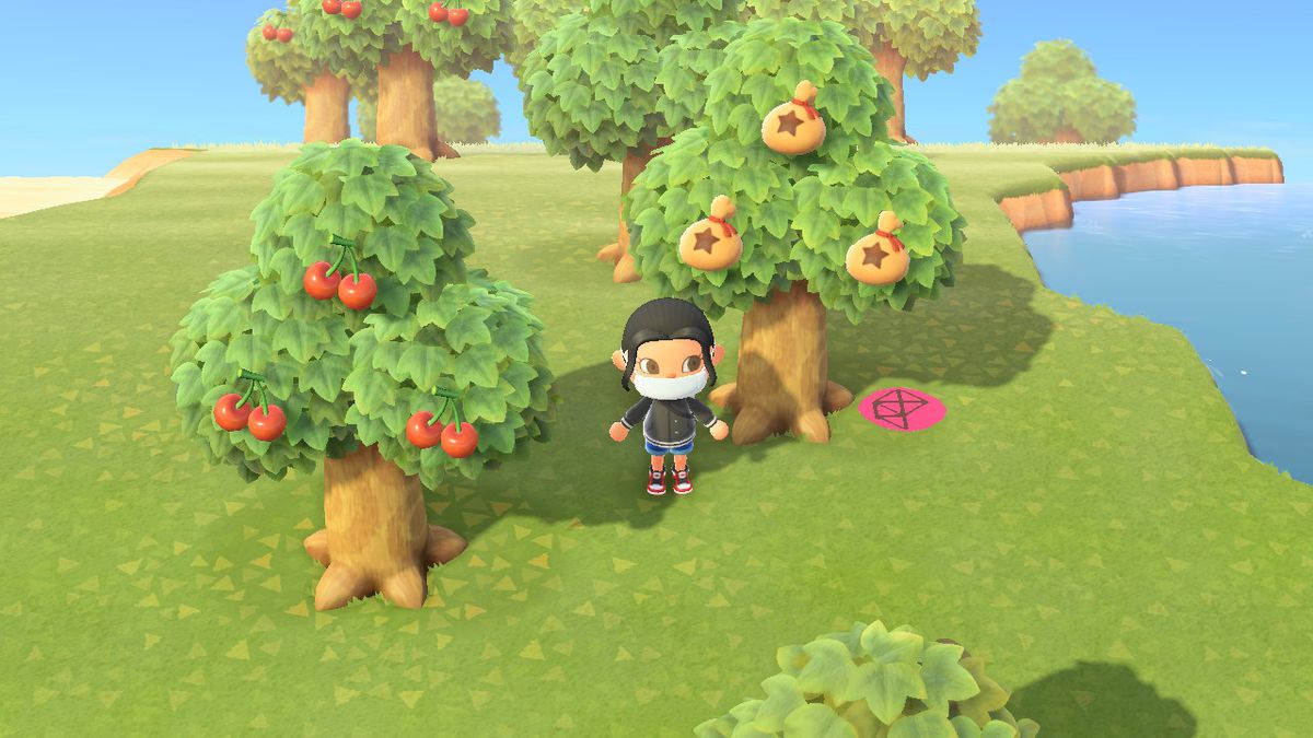 Standing in front of a money tree in Animal Crossing New Horizons