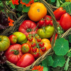 <p>Tomato sizes range from grape and cherry to truly giant. Literally hundreds of varieties are available through seed catalogs and nurseries</p>