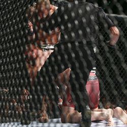 UFC 168 Photos