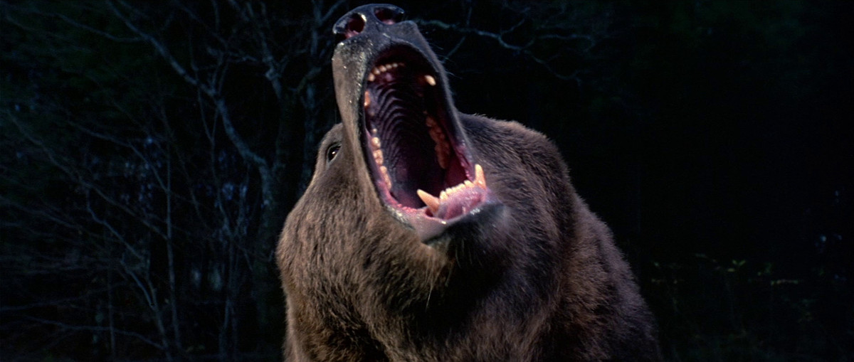 The grizzly bear roars in Grizzly