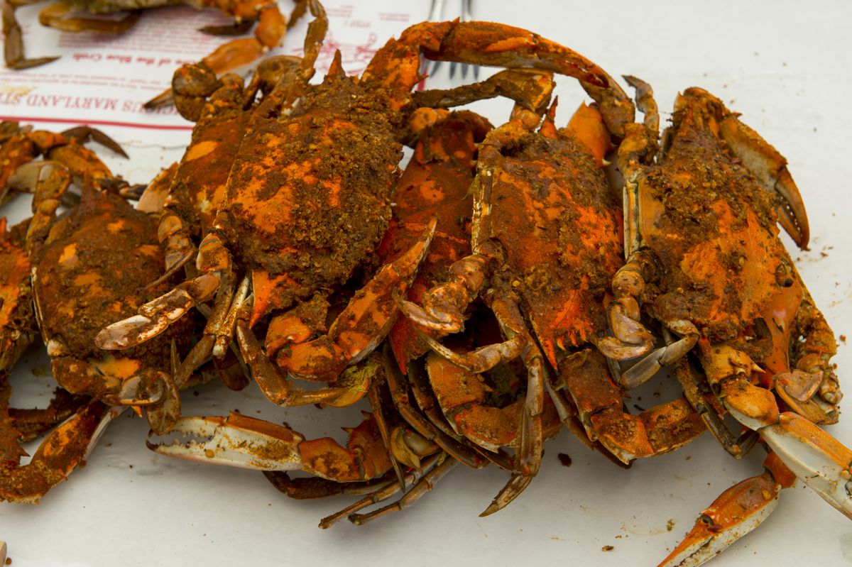 Maryland Blue Crabs at the Crab Claw Restaurant at the Inner...