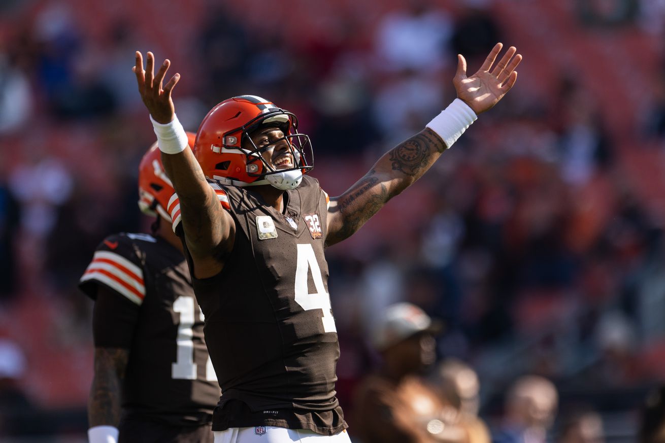 Browns Week 10 rooting guide: Best results for playoff seeding
