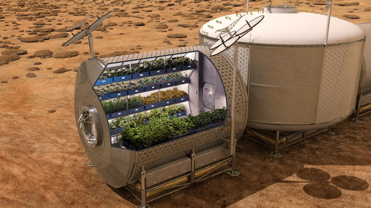 A rendering of a produce growth chamber as part of a hypothetical future Mars mission.
