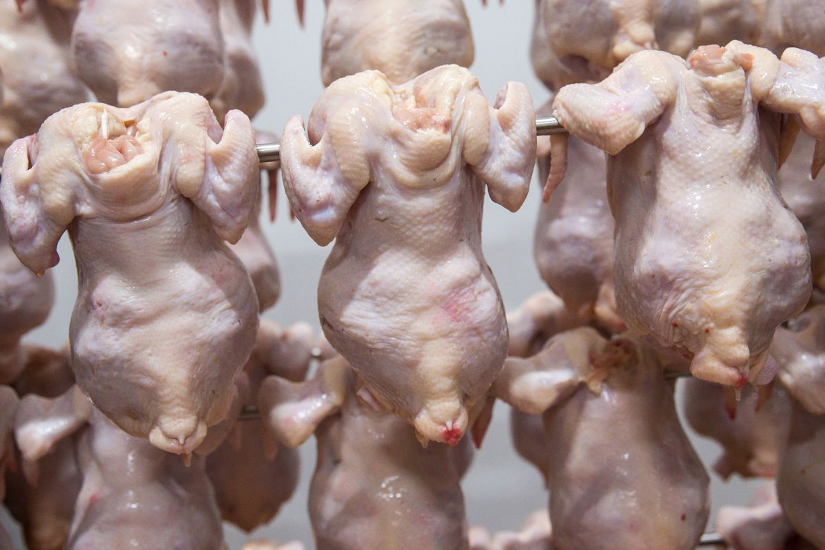 Chlorinated chicken in the U.K. after Brexit would not be a food standards issue for Liam Fox, but Michael Gove disagrees
