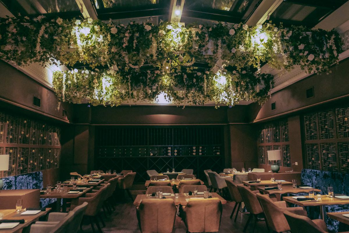 A wide dining room with a high ceiling, where plants hang down